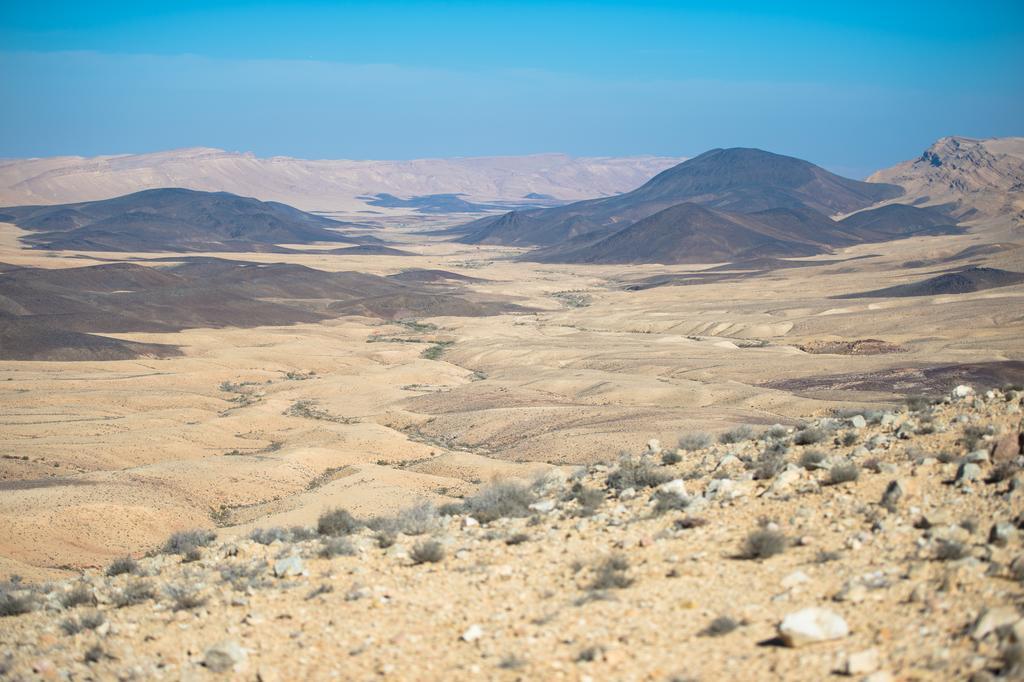 Alpaca Farm - חוות האלפקות Mitzpe Ramon Exterior foto