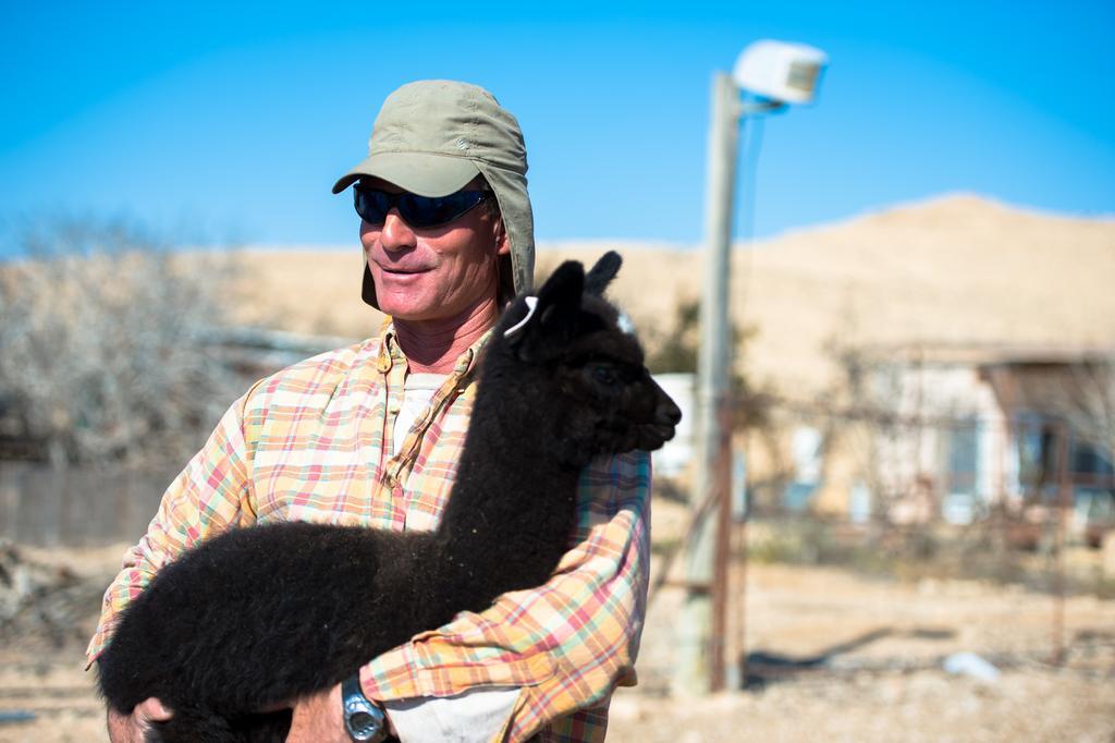 Alpaca Farm - חוות האלפקות Mitzpe Ramon Exterior foto