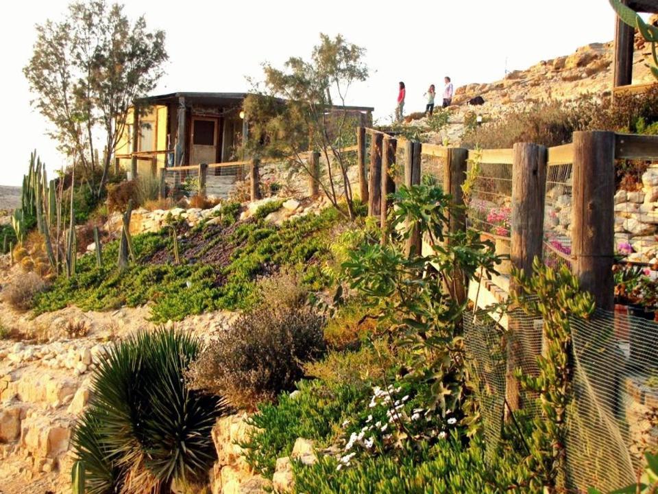 Alpaca Farm - חוות האלפקות Mitzpe Ramon Exterior foto