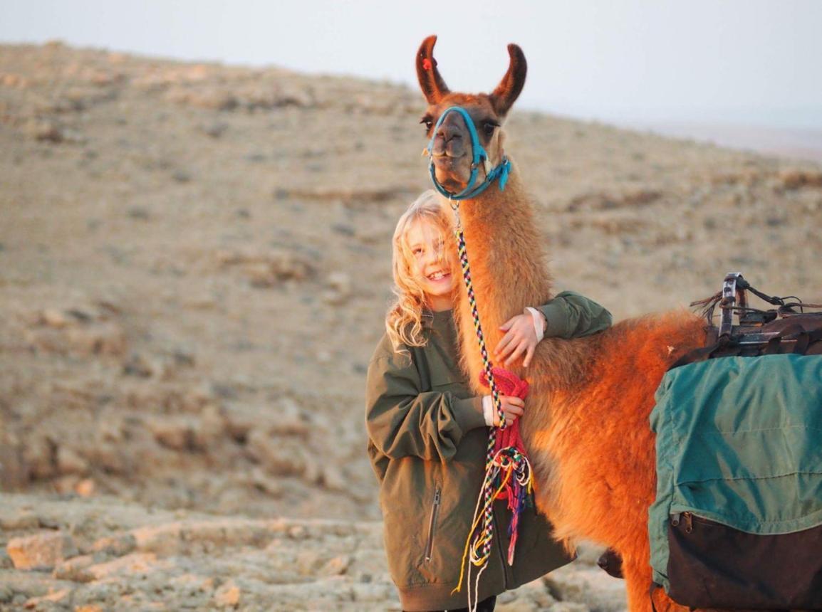 Alpaca Farm - חוות האלפקות Mitzpe Ramon Exterior foto