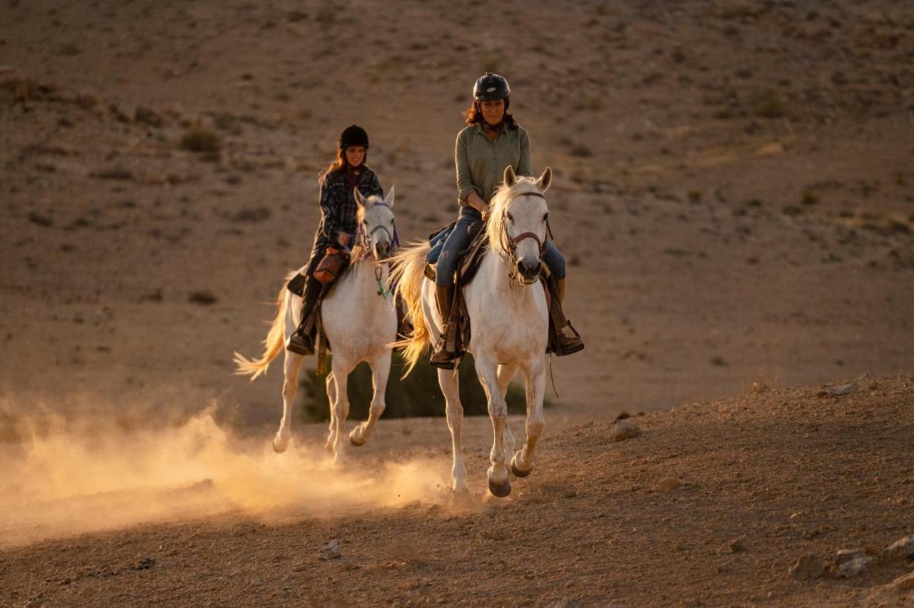 Alpaca Farm - חוות האלפקות Mitzpe Ramon Exterior foto