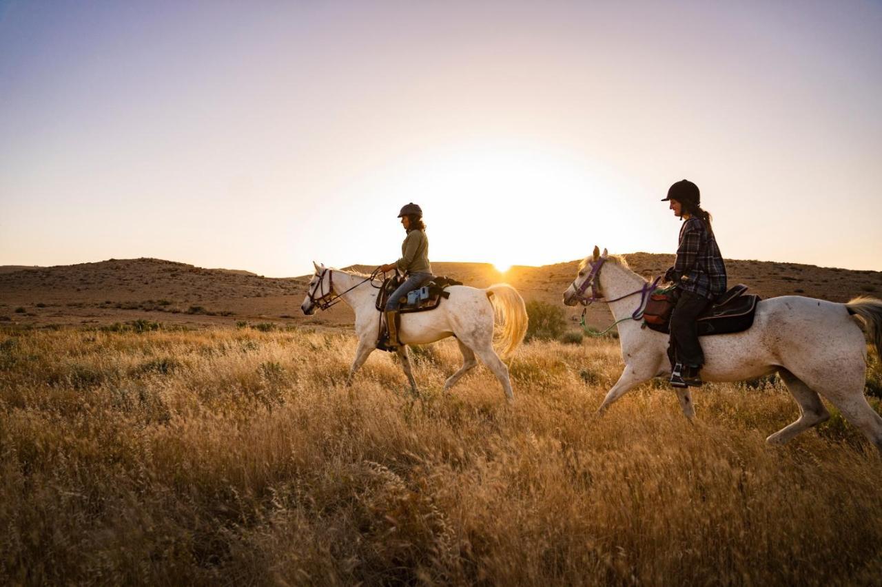 Alpaca Farm - חוות האלפקות Mitzpe Ramon Exterior foto