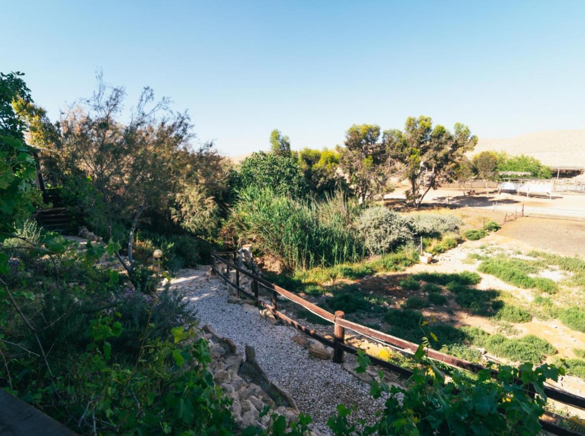 Alpaca Farm - חוות האלפקות Mitzpe Ramon Exterior foto