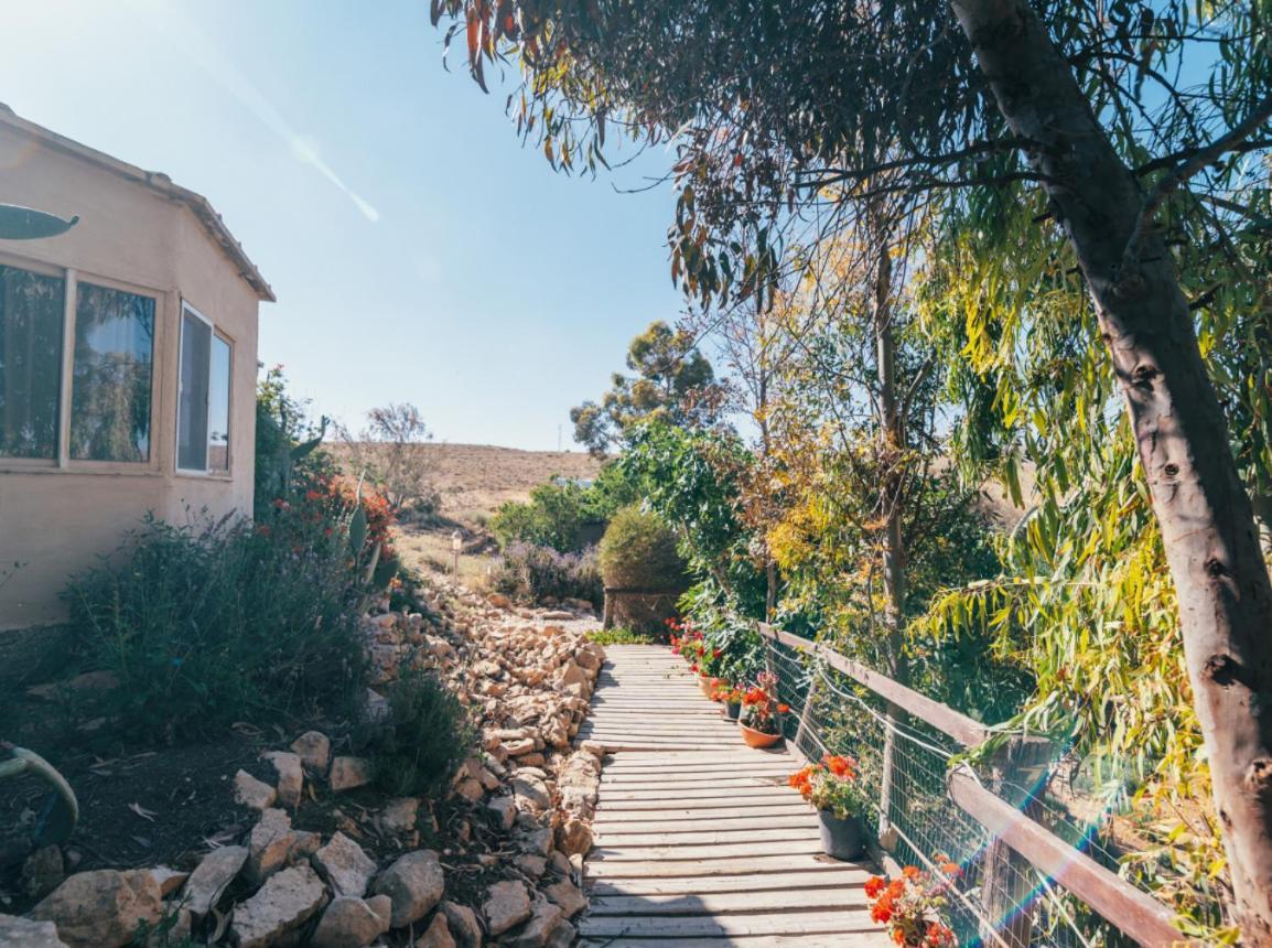 Alpaca Farm - חוות האלפקות Mitzpe Ramon Exterior foto