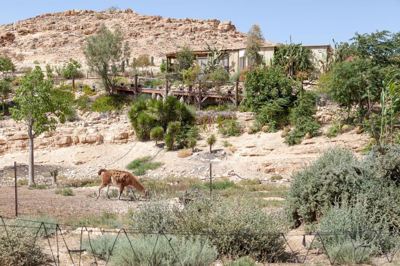 Alpaca Farm - חוות האלפקות Mitzpe Ramon Exterior foto