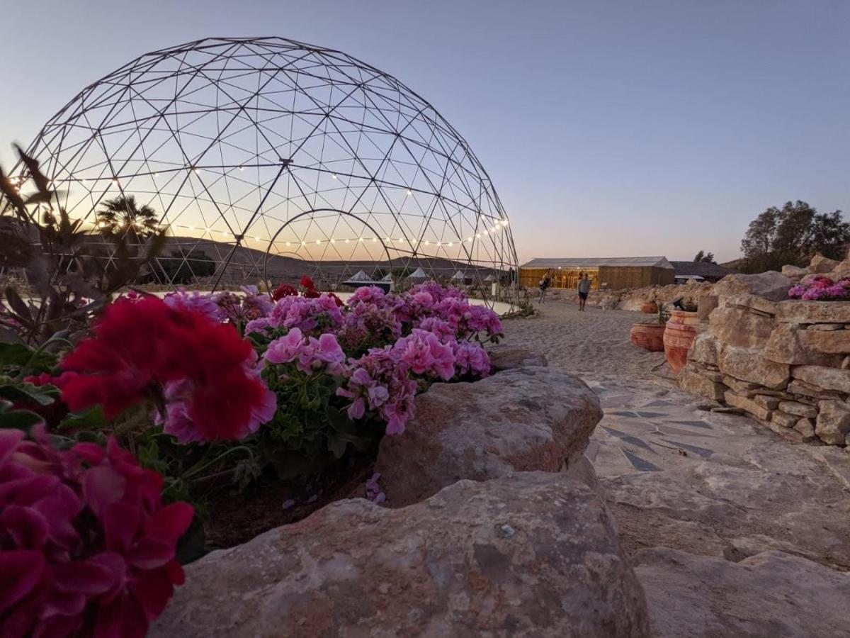 Alpaca Farm - חוות האלפקות Mitzpe Ramon Exterior foto