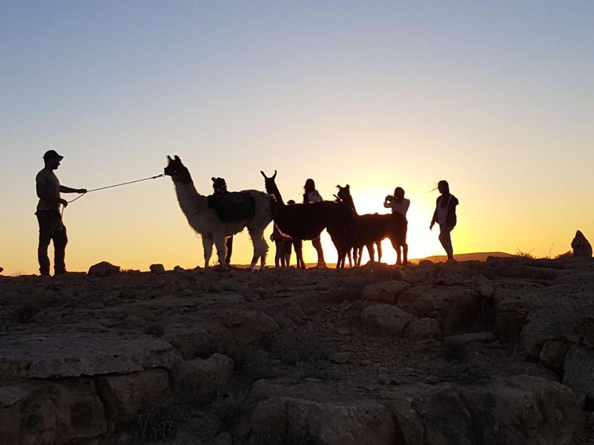 Alpaca Farm - חוות האלפקות Mitzpe Ramon Exterior foto