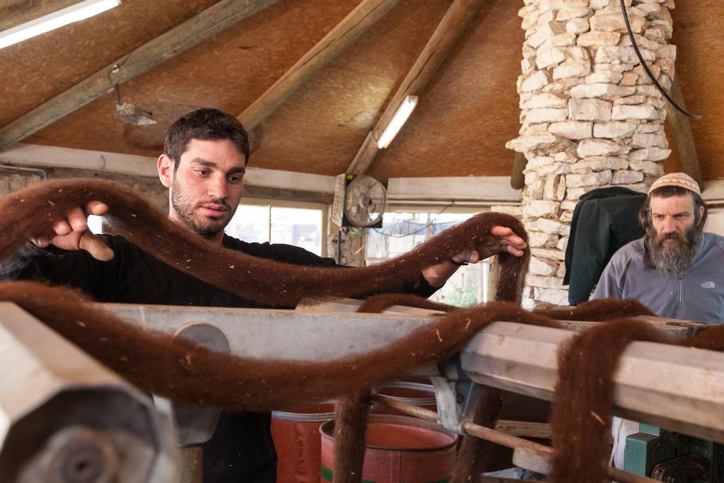 Alpaca Farm - חוות האלפקות Mitzpe Ramon Exterior foto