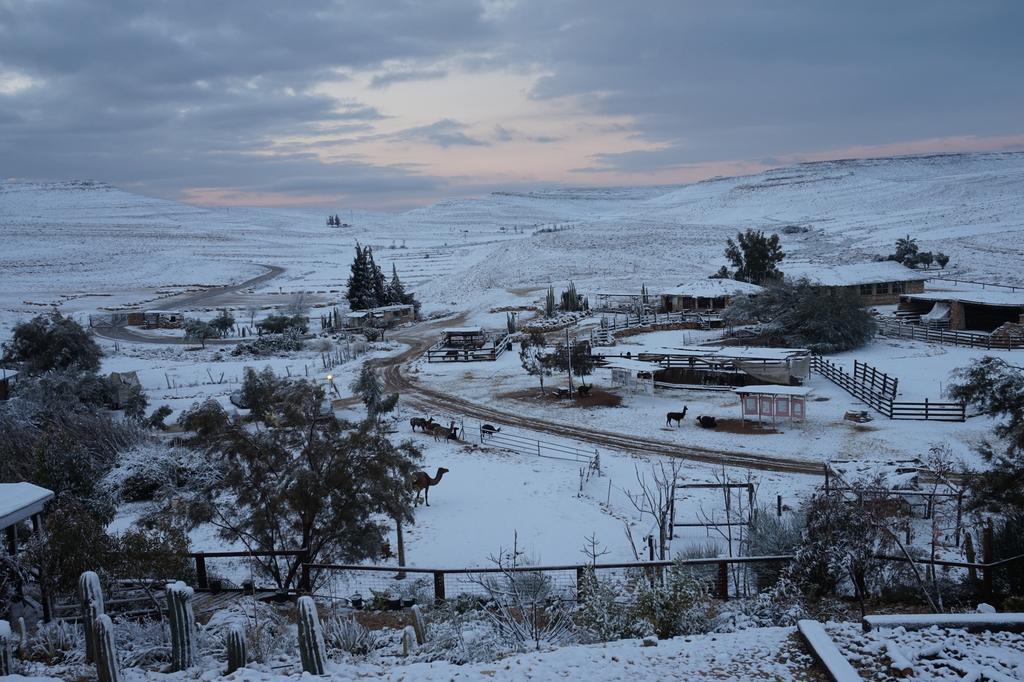 Alpaca Farm - חוות האלפקות Mitzpe Ramon Exterior foto