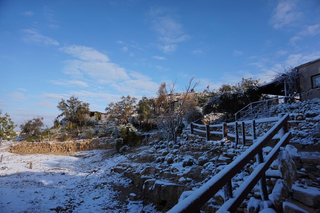 Alpaca Farm - חוות האלפקות Mitzpe Ramon Exterior foto