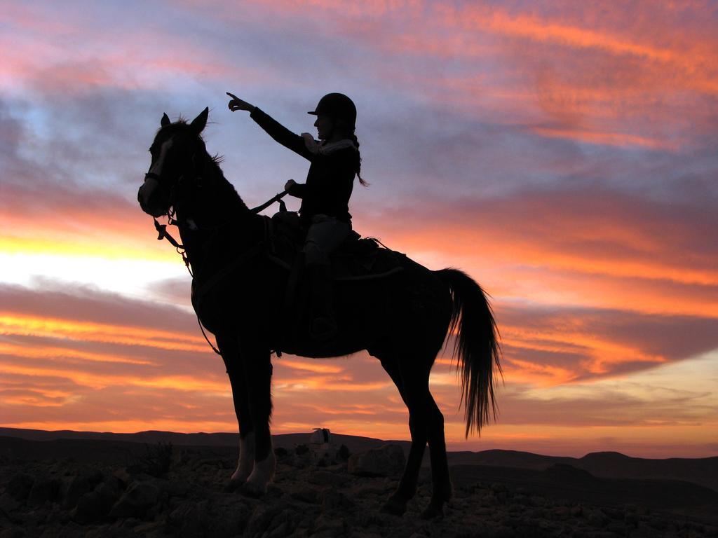 Alpaca Farm - חוות האלפקות Mitzpe Ramon Exterior foto