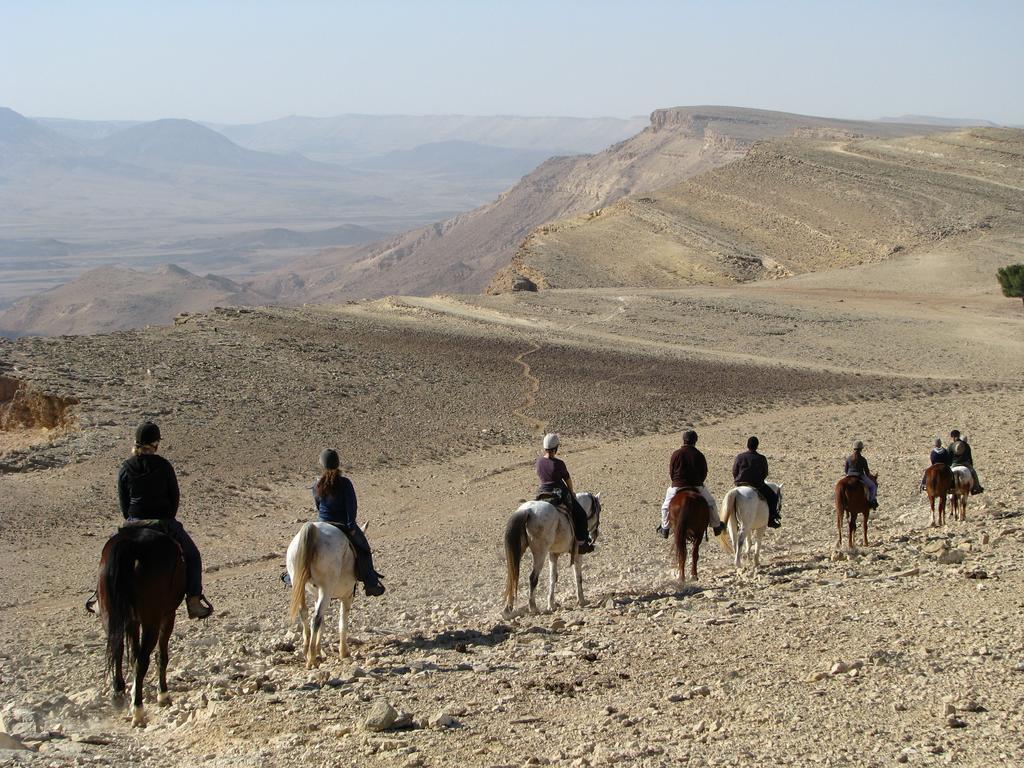 Alpaca Farm - חוות האלפקות Mitzpe Ramon Exterior foto