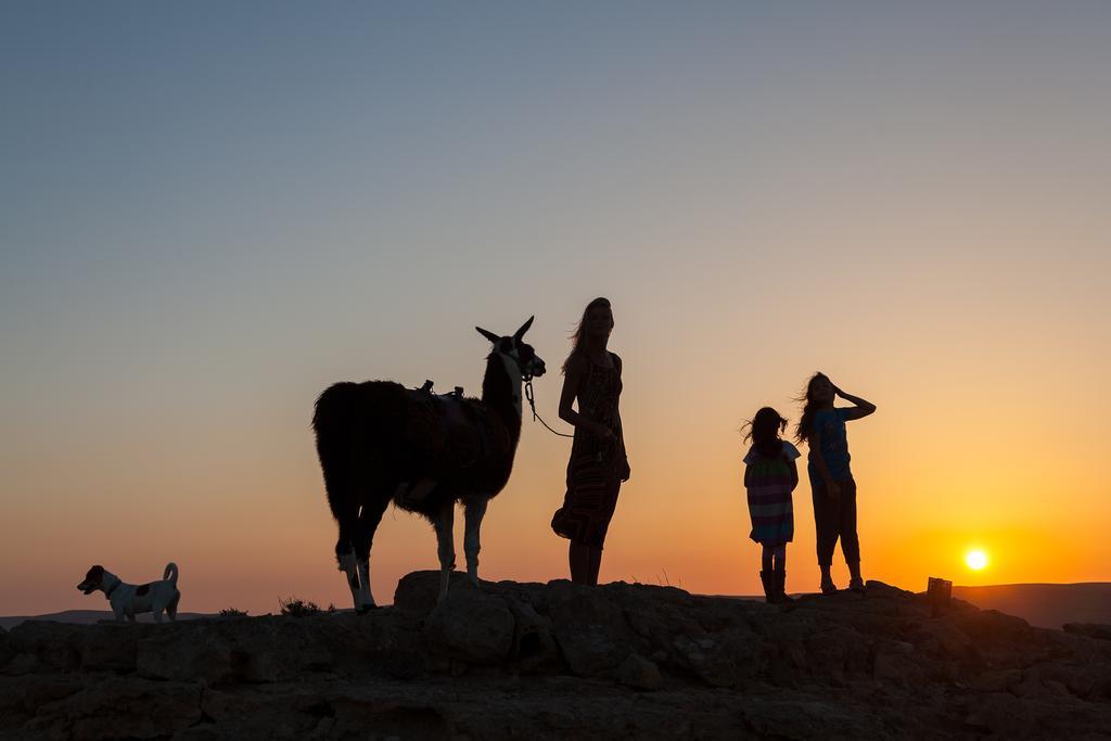 Alpaca Farm - חוות האלפקות Mitzpe Ramon Exterior foto