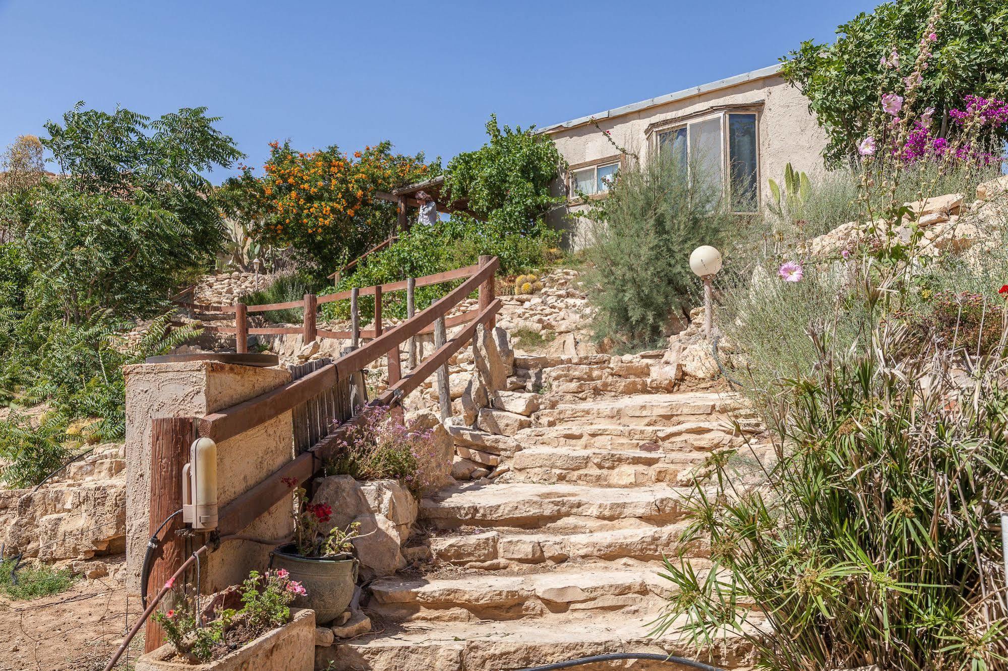 Alpaca Farm - חוות האלפקות Mitzpe Ramon Exterior foto