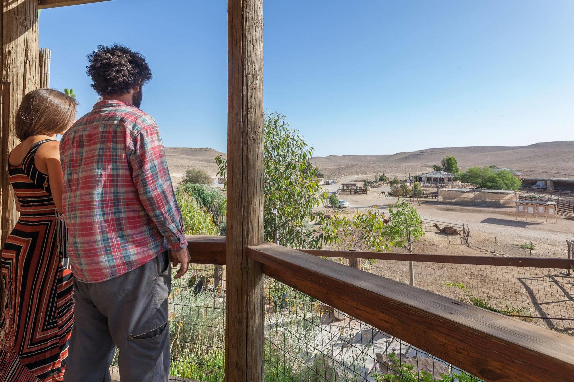 Alpaca Farm - חוות האלפקות Mitzpe Ramon Exterior foto